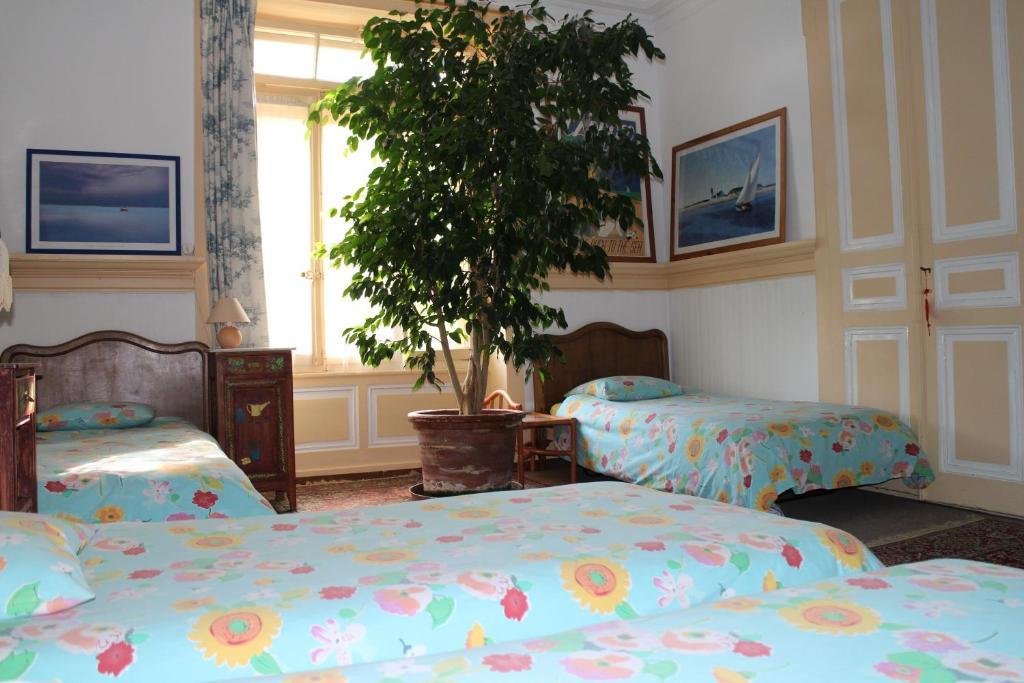 Les Airelles Bed And Breakfast Leysin Room photo