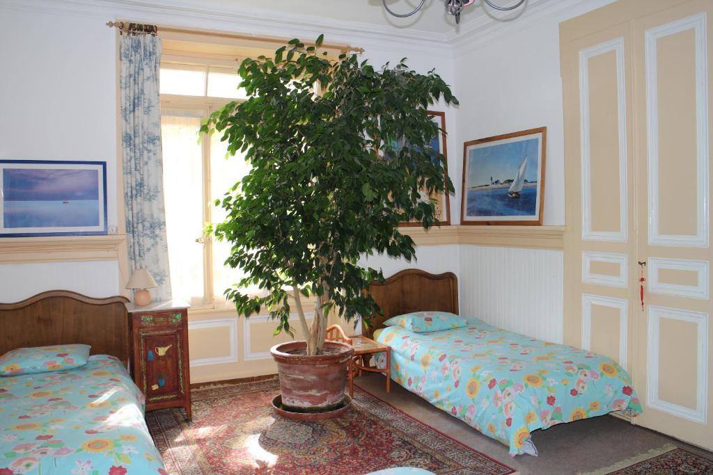 Les Airelles Bed And Breakfast Leysin Room photo